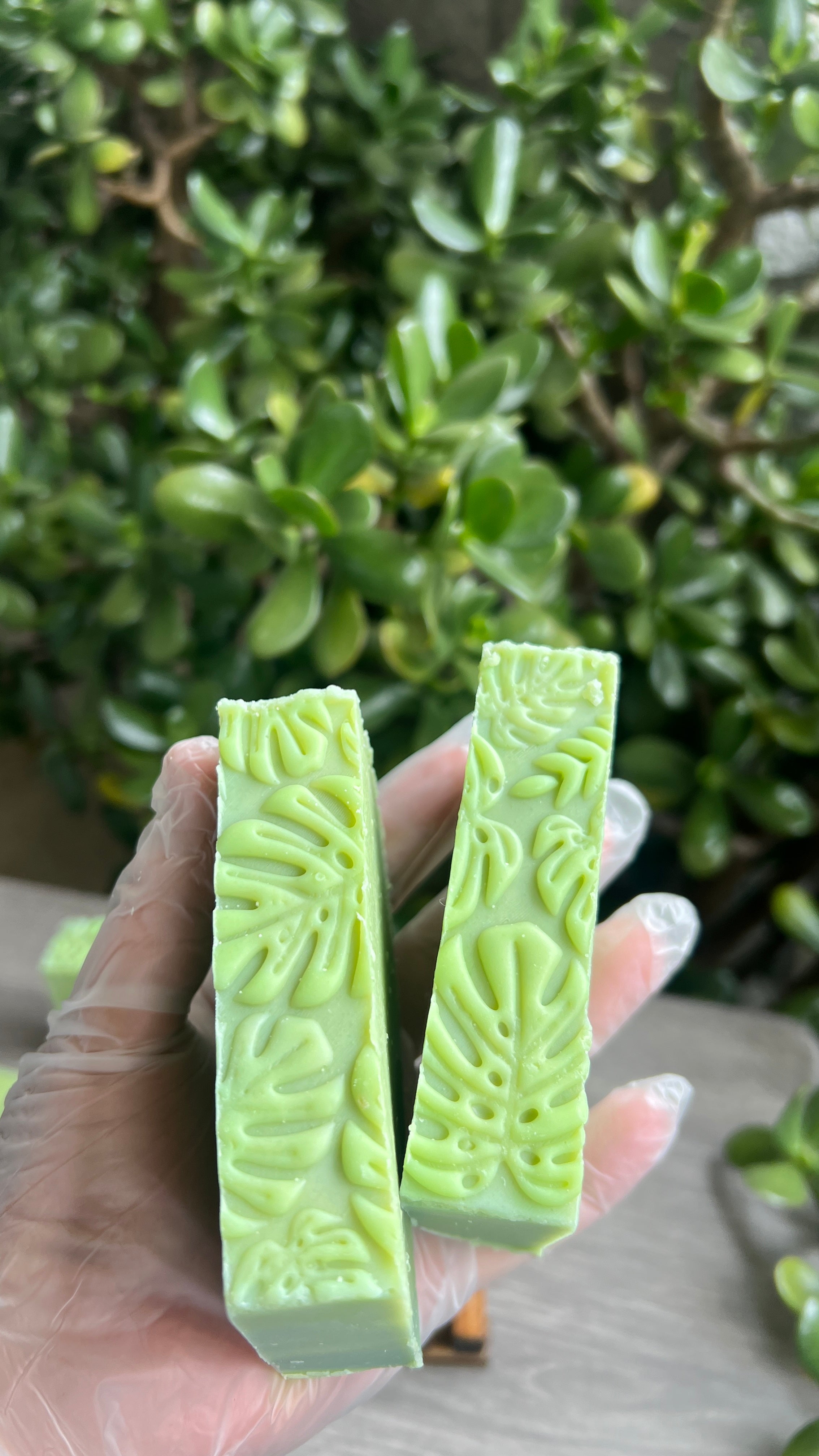 Monstera Leaf Goat Milk Soap